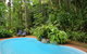 Wait A While Daintree - thumb 1