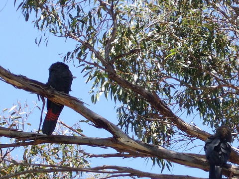 Wanderers Rest Of Kangaroo Island - Kalgoorlie Accommodation 2