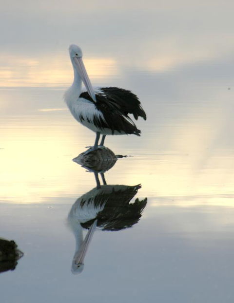 Wanderers Rest Of Kangaroo Island - Kalgoorlie Accommodation 3