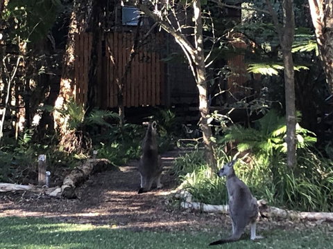 Wanderers Retreat - Kalgoorlie Accommodation 2