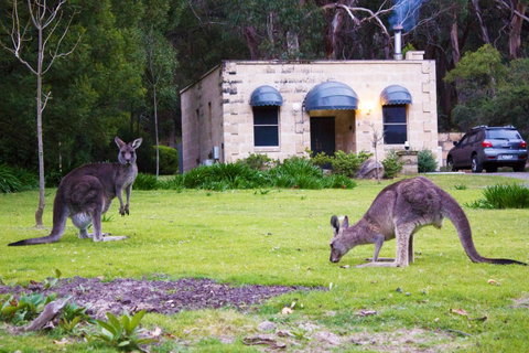 Marwood Villas - Kalgoorlie Accommodation 31
