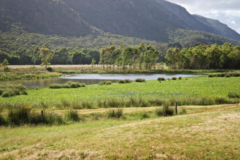 Gumnut Villa - Kalgoorlie Accommodation 11