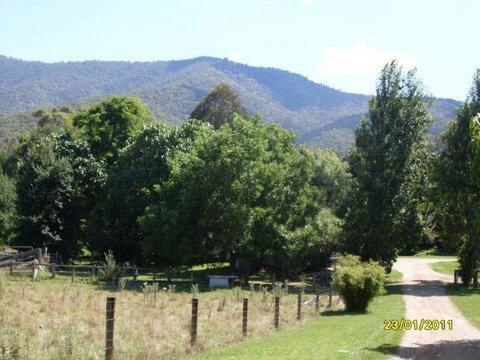 Aspens Springs Farmstay - Kalgoorlie Accommodation 30
