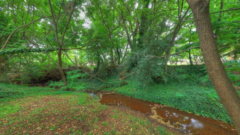 Aspens Springs Farmstay - Kalgoorlie Accommodation 21