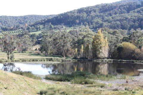 Aspens Springs Farmstay - Kalgoorlie Accommodation 29