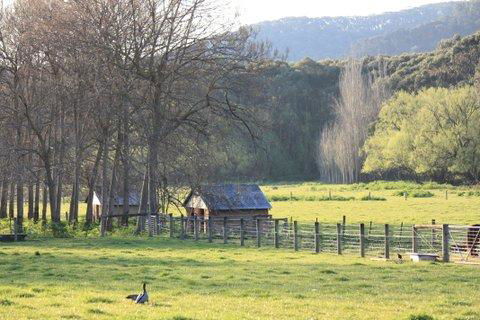 Aspens Springs Farmstay - Kalgoorlie Accommodation 25
