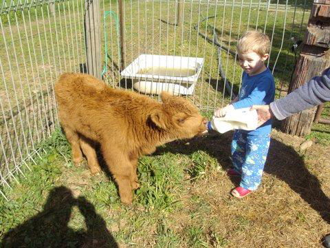 Aspens Springs Farmstay - Kalgoorlie Accommodation 22