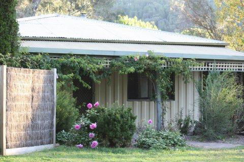 Aspens Springs Farmstay - Kalgoorlie Accommodation 12