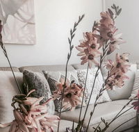 Bed of Roses - Kalgoorlie Accommodation