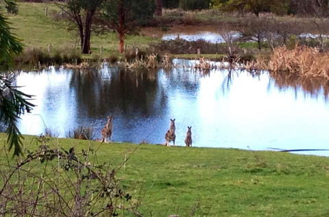 Australian Home Away @ Wonga Park Brushy Creek - Kalgoorlie Accommodation 17
