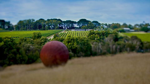 Sunryes Beach House - Kalgoorlie Accommodation 35