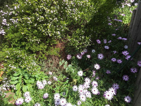 Nest On A Crest - Kalgoorlie Accommodation 21