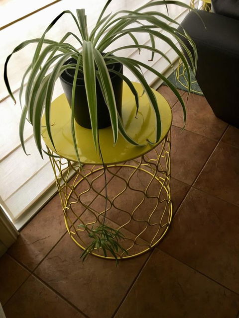 Nest On A Crest - Kalgoorlie Accommodation 5