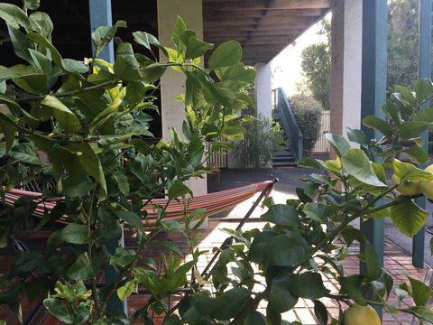 Nest On A Crest - Kalgoorlie Accommodation 30