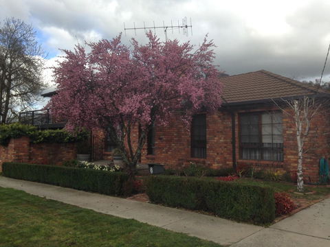 Bricks And Roses - Kalgoorlie Accommodation 1