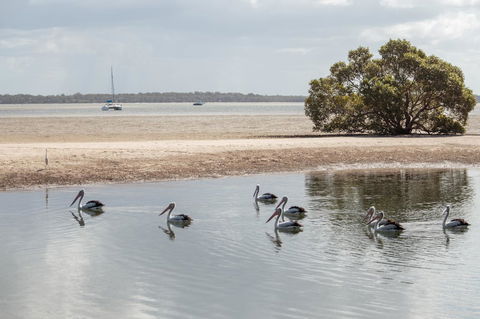 BIG4 Breeze Holiday Parks - Rainbow Beach - Kalgoorlie Accommodation 32