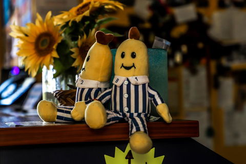 Cool Bananas Backpackers - Kalgoorlie Accommodation 30