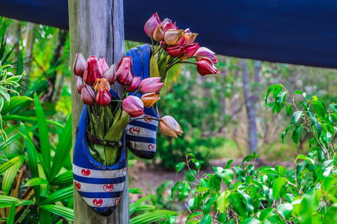 Cool Bananas Backpackers - Kalgoorlie Accommodation 26