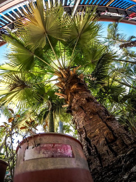 Cool Bananas Backpackers - Kalgoorlie Accommodation 14