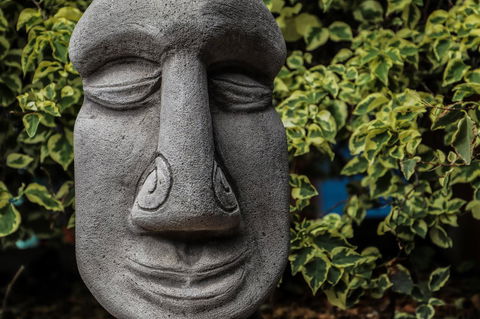 Cool Bananas Backpackers - Kalgoorlie Accommodation 23