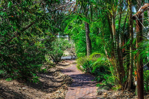 Cool Bananas Backpackers - Kalgoorlie Accommodation 15