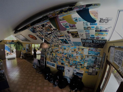 Cool Bananas Backpackers - Kalgoorlie Accommodation 31