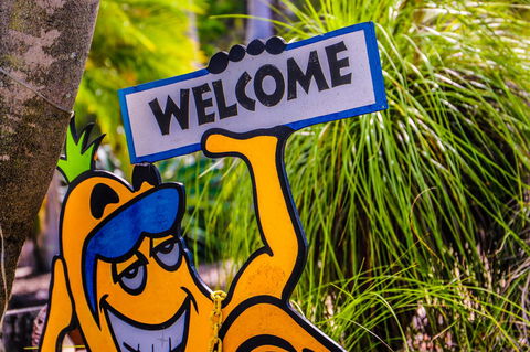 Cool Bananas Backpackers - Kalgoorlie Accommodation 37