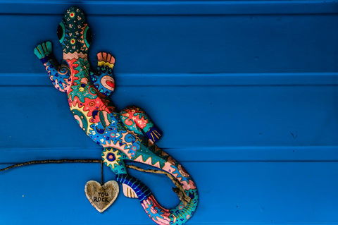 Cool Bananas Backpackers - Kalgoorlie Accommodation 21