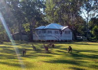 Book Peregian Beach Accommodation Vacations Kalgoorlie Accommodation Kalgoorlie Accommodation
