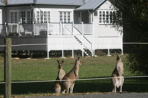 Lake Weyba Noosa Lodge & Kangaroos - Kalgoorlie Accommodation 28