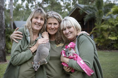 Airlie Beach Eco Cabins - Adults Only - Kalgoorlie Accommodation 23