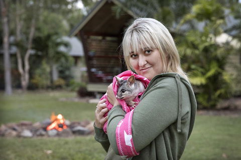 Airlie Beach Eco Cabins - Adults Only - Kalgoorlie Accommodation 31