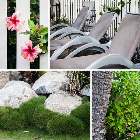 Coolum Caprice - Kalgoorlie Accommodation 22