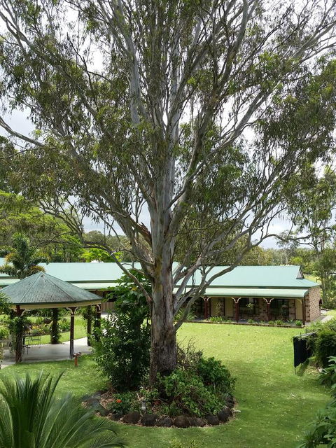 The Bearded Dragon Boutique Hotel - Kalgoorlie Accommodation 32