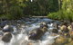 Silky Oaks Lodge - thumb 20