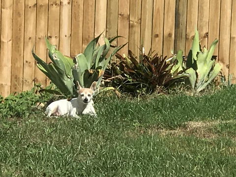 Whitsunday Luxury Homes - Kalgoorlie Accommodation 42