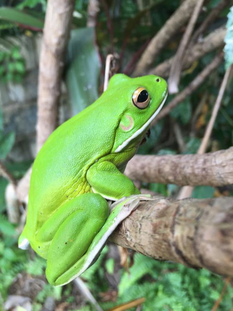 Bella By The Beach - Kalgoorlie Accommodation 15