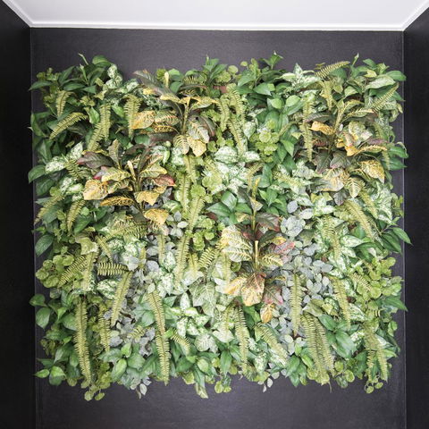 Riviera Mackay - Kalgoorlie Accommodation 22