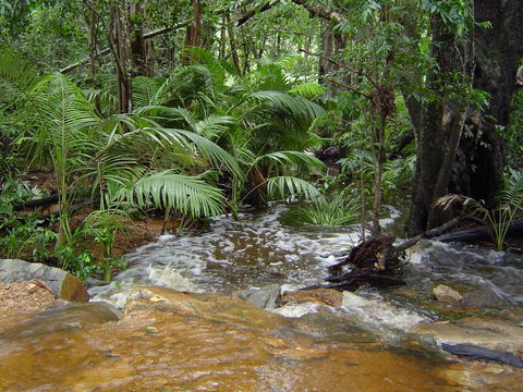 Forest Lodge: Little Villa - Kalgoorlie Accommodation 17