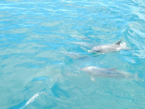 Superior Apartment In A Unique Resort - Kalgoorlie Accommodation 36