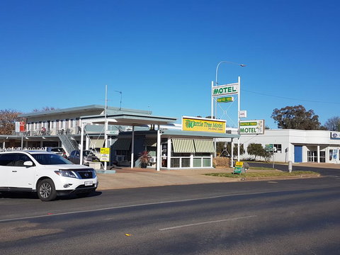 Wattle Tree Motel - Kalgoorlie Accommodation 0