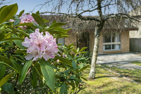 Wentworth Rose - Kalgoorlie Accommodation 2