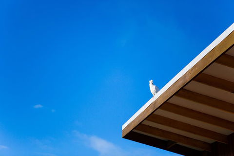 Wye Not Escape - Kalgoorlie Accommodation 0