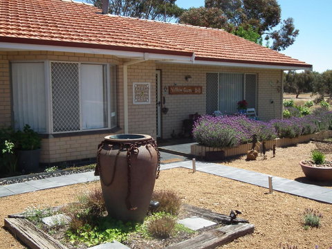 Yellow Gum Bed And Breakfast - Kalgoorlie Accommodation 0