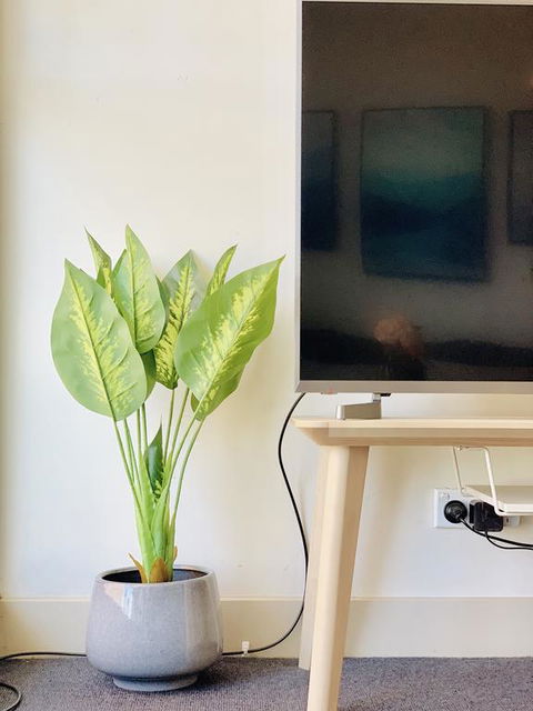 ZEN Homes On Collins - Kalgoorlie Accommodation 3