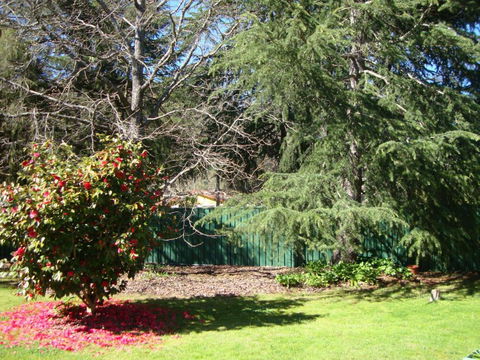 Ageri Holiday House - Kalgoorlie Accommodation 3