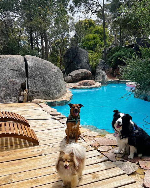A Paradise For Dogs And A Magical Retreat For Hoomans - Kalgoorlie Accommodation 1