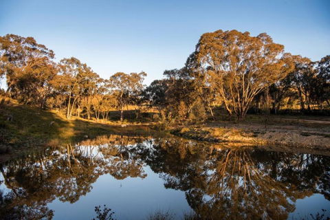 Amethyst - 1 Bed With Hot Tub - Kundalini Lodge - Kalgoorlie Accommodation 3