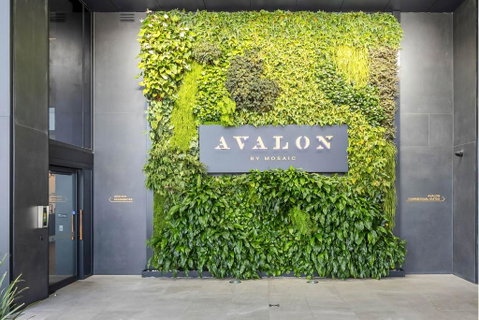 Avalon Resort Maroochydore - Kalgoorlie Accommodation 2