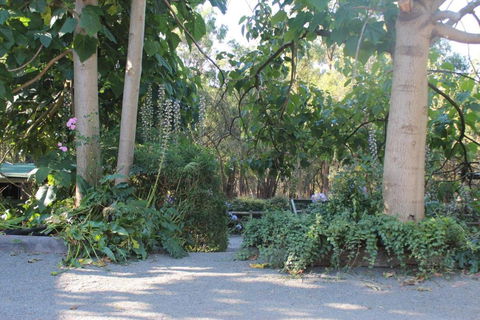Avoca Park Equestrian Farmstay - Kalgoorlie Accommodation 2